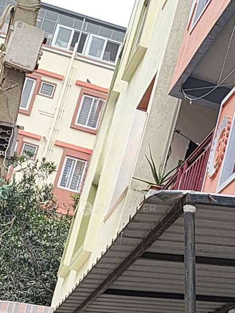 PG for Girls in  Bellandur