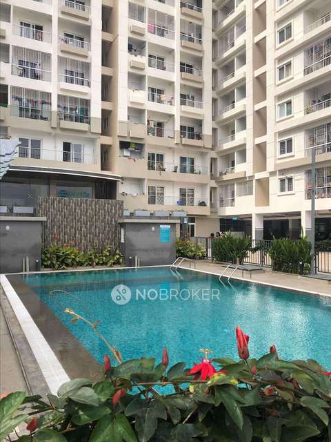 1 BHK Flat In Ecolife Eon Bhoomi For Sale  In Balagere