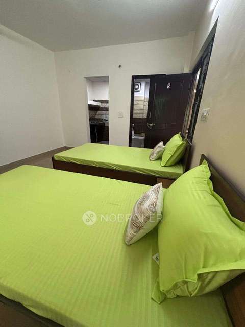 PG for Anyone in Sector 142,