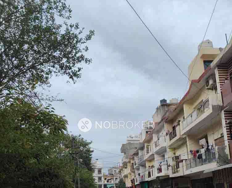 1 BHK Flat In Sb for Rent  In Sector 52