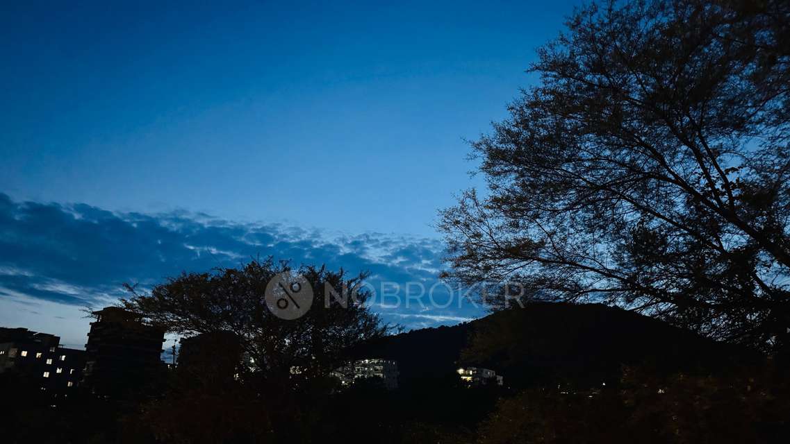 2 BHK Flat In Bhandari 32 Pinewood Drive for Rent  In Hinjewadi