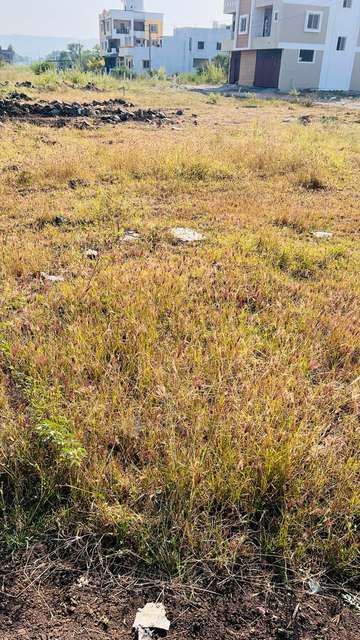 Plot For Sale  In Home