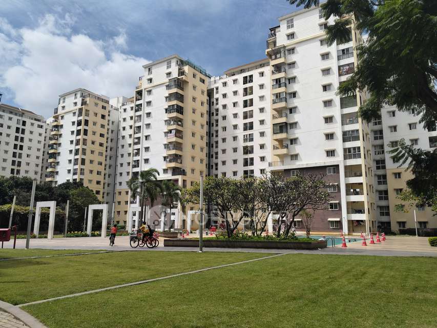 2 BHK Flat In Mantri Alpine for Rent  In Rajarajeshwari Nagar