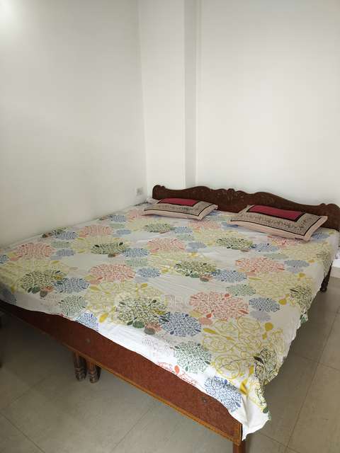 2 BHK Flat In Synera Signature Global for Rent  In Sector 81