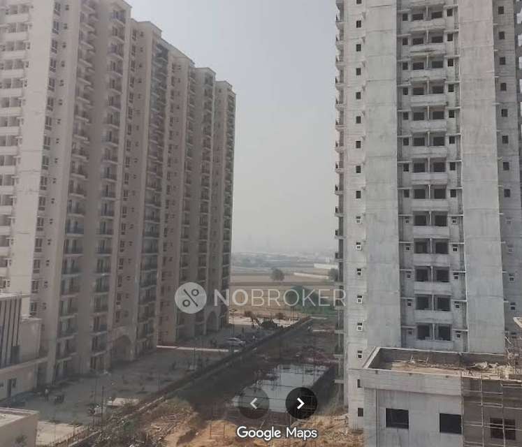 2 BHK Flat In Signature Global Melenia 3 for Rent  In Dwarka Expressway