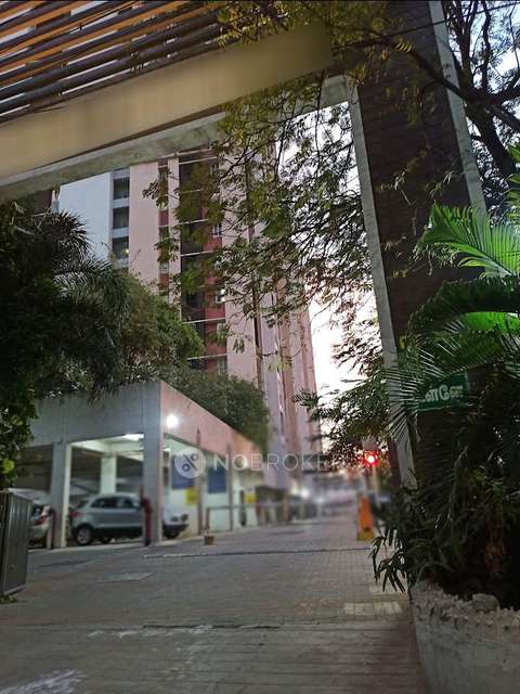 3 BHK Flat In Tulive Horizon Residences Saligramam for Rent  In Horizon Residences