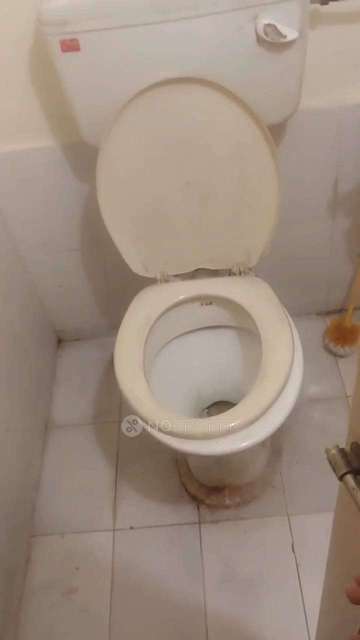 Single Room for Female In 1 RK  In , Shukrawar Peth,