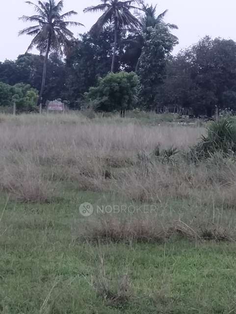 Plot For Sale  In Melakottaiyur