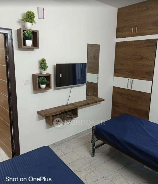 PG for Anyone in Whitefield