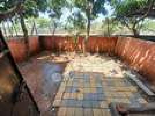 1 BHK Flat In Moraya Nagri Market Yard for Rent  In Kondhwa Budruk