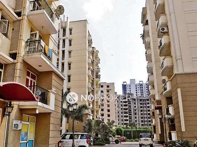 1 BHK Flat In White House  for Rent  In  Alpha I