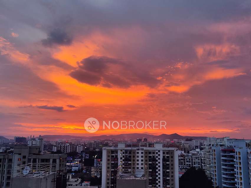 3 BHK Flat In Kalpataru Exquisite, Wakad for Rent  In Kalpataru Exquisite