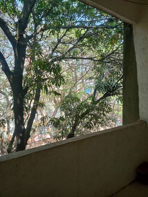 1 BHK Flat In Dhanlakshmi Park Apartment for Rent  In Kothrud