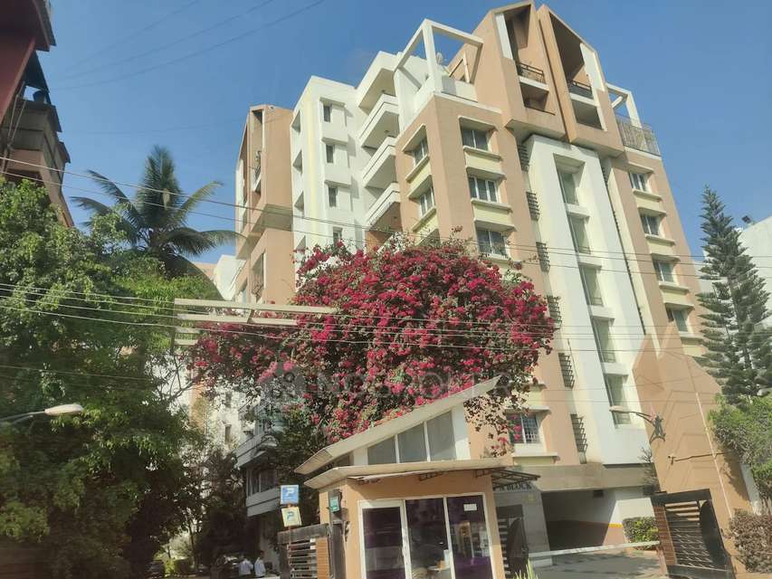 3 BHK Flat In Puravankara Purva Sunshine For Sale  In Sarjapur Road