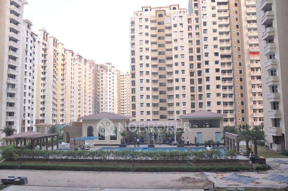 Shared Room for  In 3 BHK  In Apartment In Sector 76