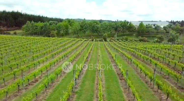 Plot For Sale  In Aadhira Sandalwood Forms In No.610, Tamil Colony, Amanampakkam, Tiruvallur - Tamaraipakkam Rd, Tamaraipakkam, Tamil Nadu 601103, India