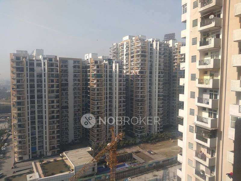 3 BHK Flat In Apartment for Rent  In Crossing Republic