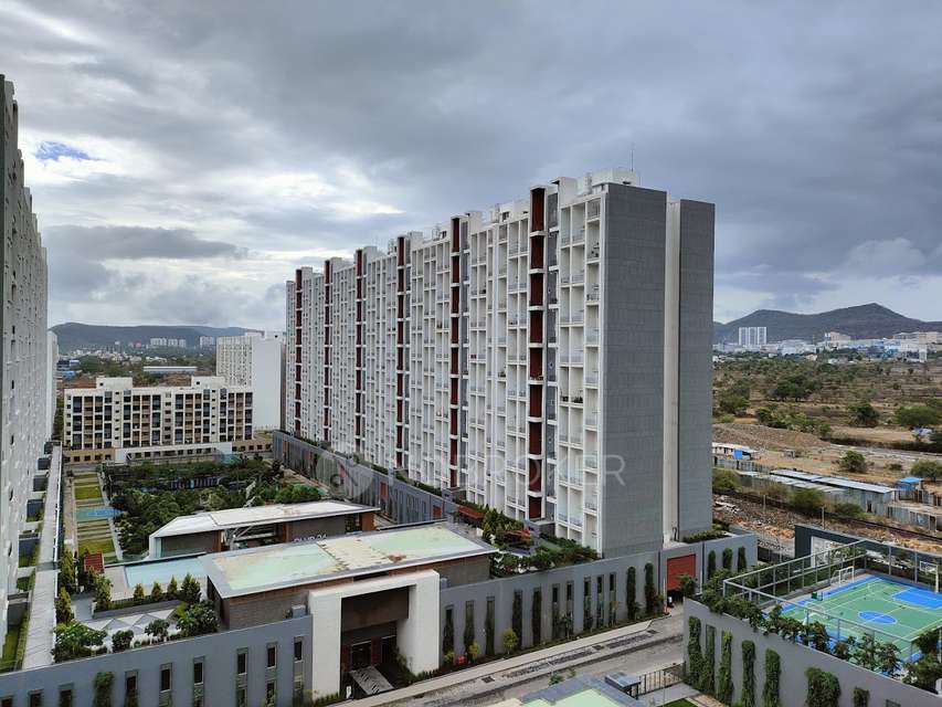 Single Room for Male In 2 BHK  In Godrej Elements In Hinjawadi