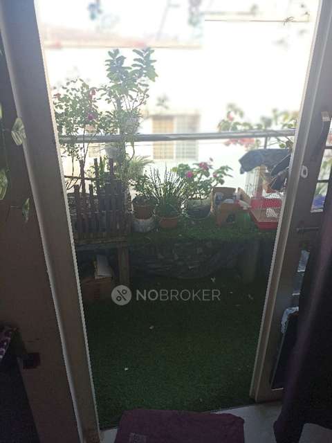 1 BHK Flat In Galexy Hights,sainnagar Mamurdi,dehu Road Pune 412101 for Rent  In Forest Hills Society