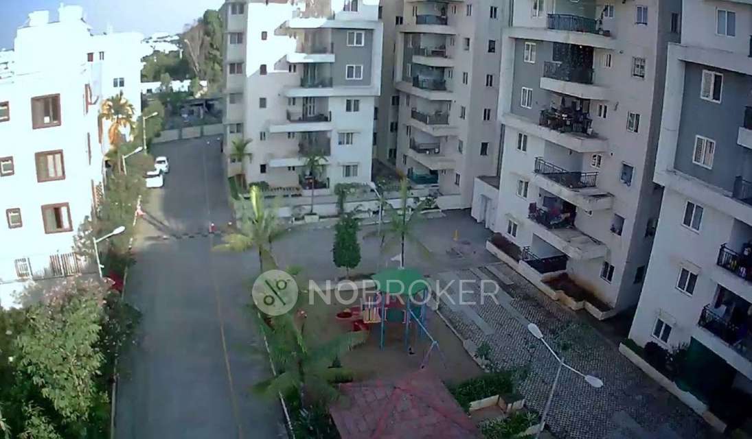 3 BHK Flat In Dsr Ultima   for Rent  In Harlur Main Rd