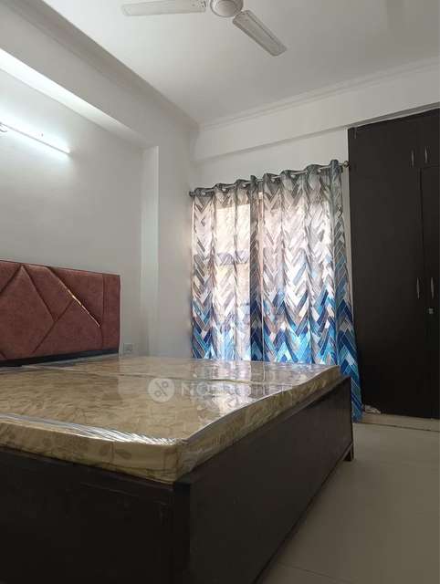 Single Room for Female In 2 BHK  In Amrapali Princely Estate In Sector 76