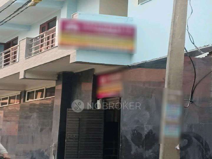 PG for Anyone in Sector 126