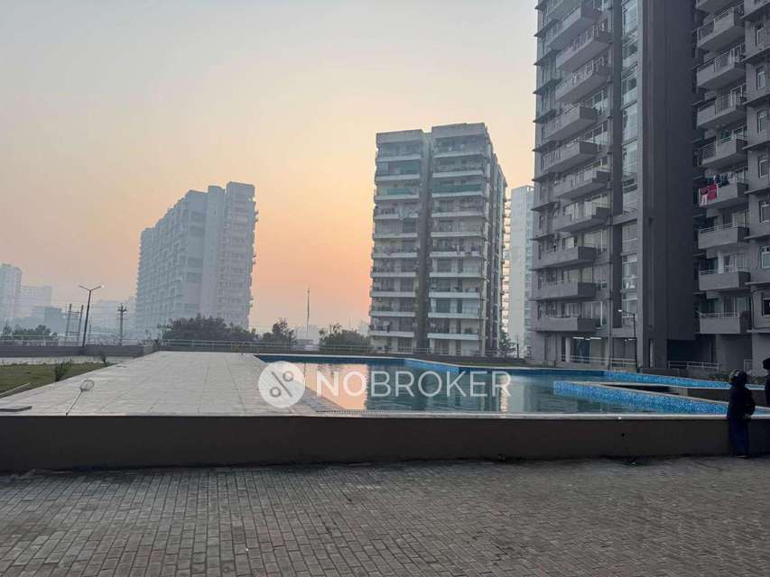 3 BHK Flat In Ild Grand For Sale  In Sector 37c