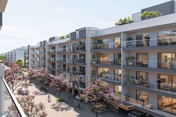 3 BHK Flat In Annaika Apartment For Sale  In Sector 53