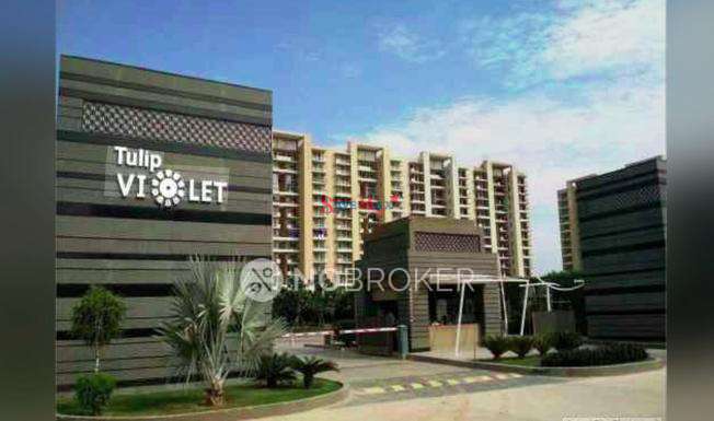 2 BHK Flat In Tulip Violet for Rent In Sector 69