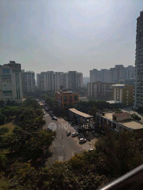 3 BHK Flat In Amarapali  for Rent  In Amrapali Dream Valley