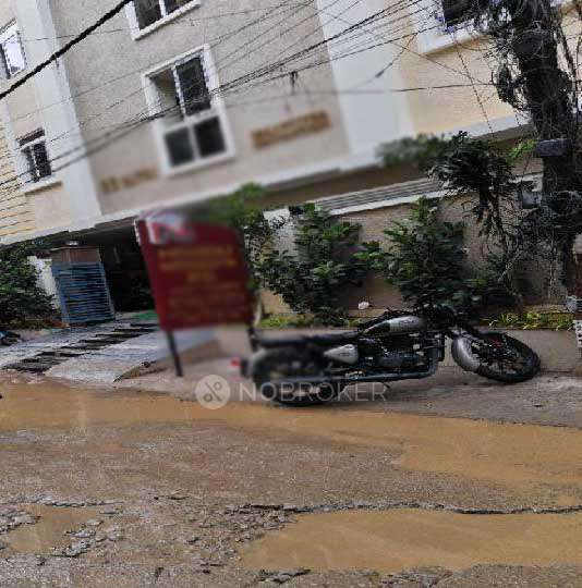 PG for Boys in Hitec City