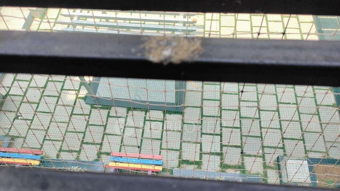 2 BHK Flat In Concrete Melody for Rent  In Chanda Nagar