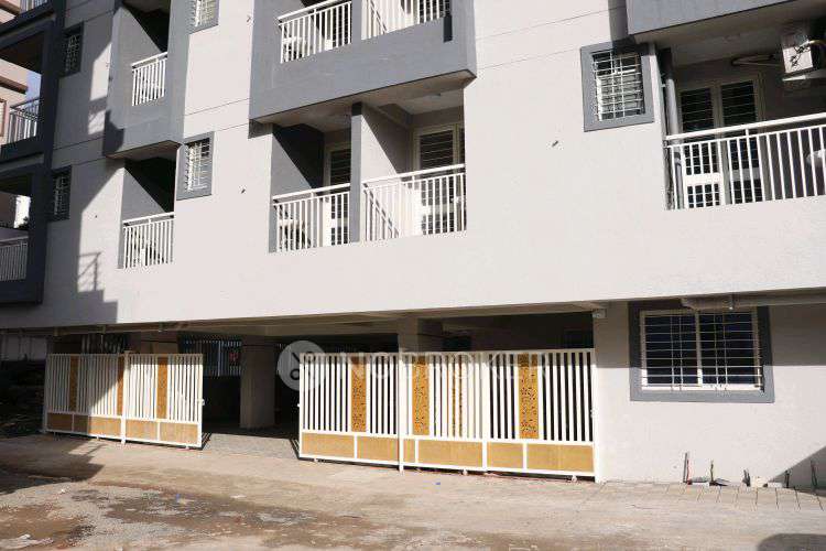 PG for Anyone in We Live Luxury Co-living