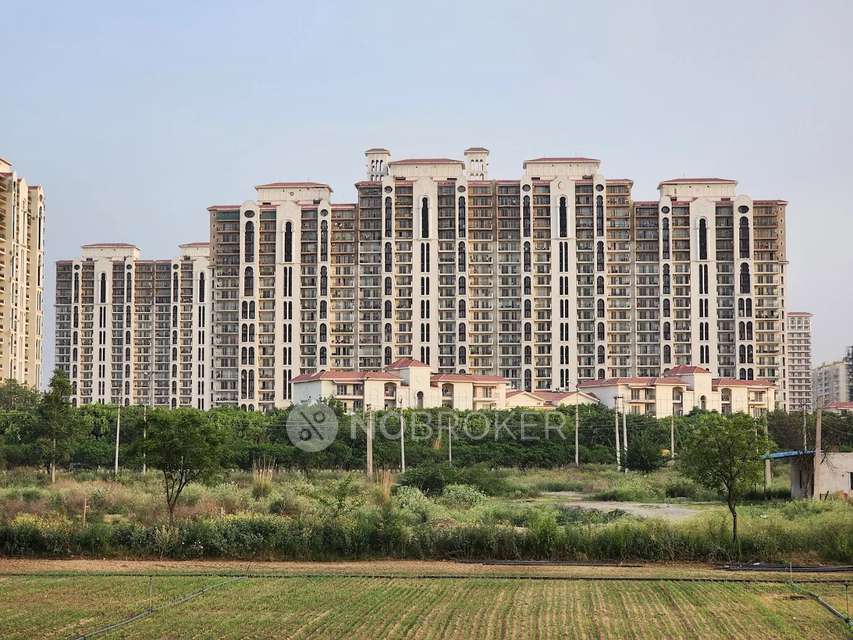 3 BHK Flat In Dlf New  Town Heights For Sale  In Gurgaon