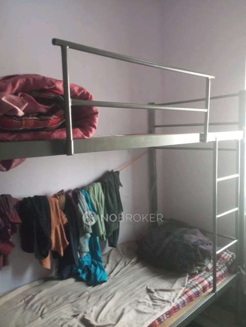 PG for Anyone in Sri Krishna Temple Road