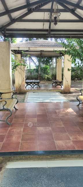 2 BHK Flat In Eisha Zenith for Rent  In Tathawade