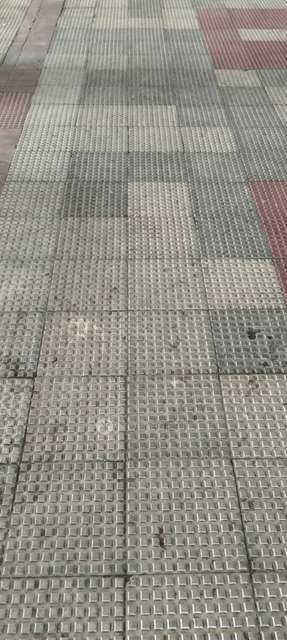 2 BHK Flat In Eisha Zenith for Rent  In Tathawade