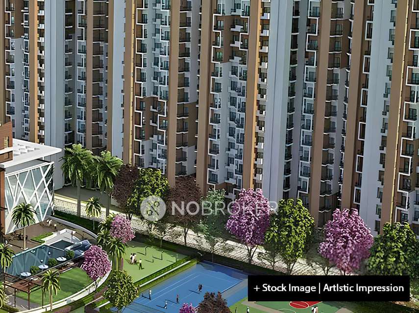 Single Room for Male In 2 BHK  In Amrapali Dream Valley