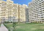 1 BHK Flat In Dwarka Greens, Sector 14 for Rent  In Sector 14