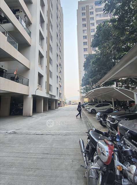 3 BHK Flat In Pate Life Montage  for Rent  In Sus