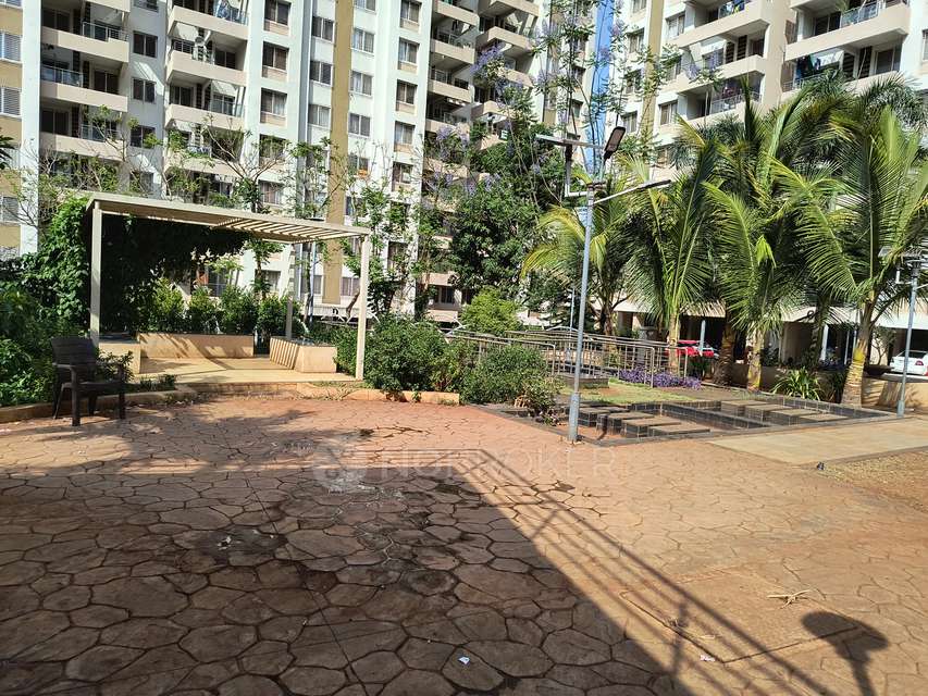 3 BHK Flat In Pate Life Montage  for Rent  In Sus