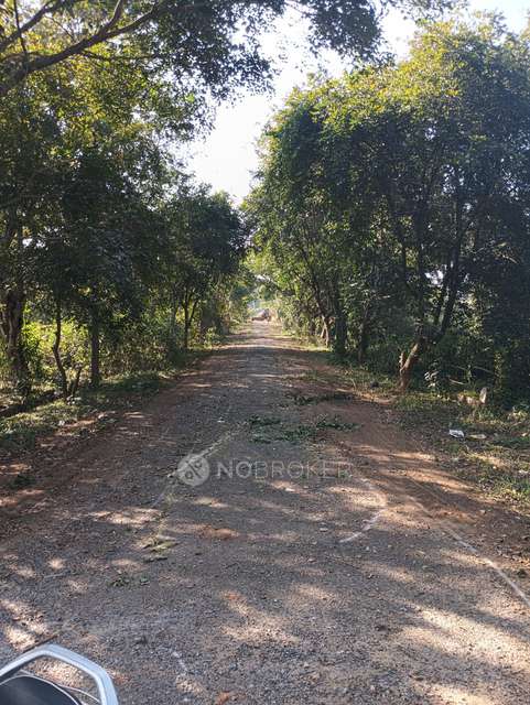 Plot For Sale  In Dodda Aalada Mara