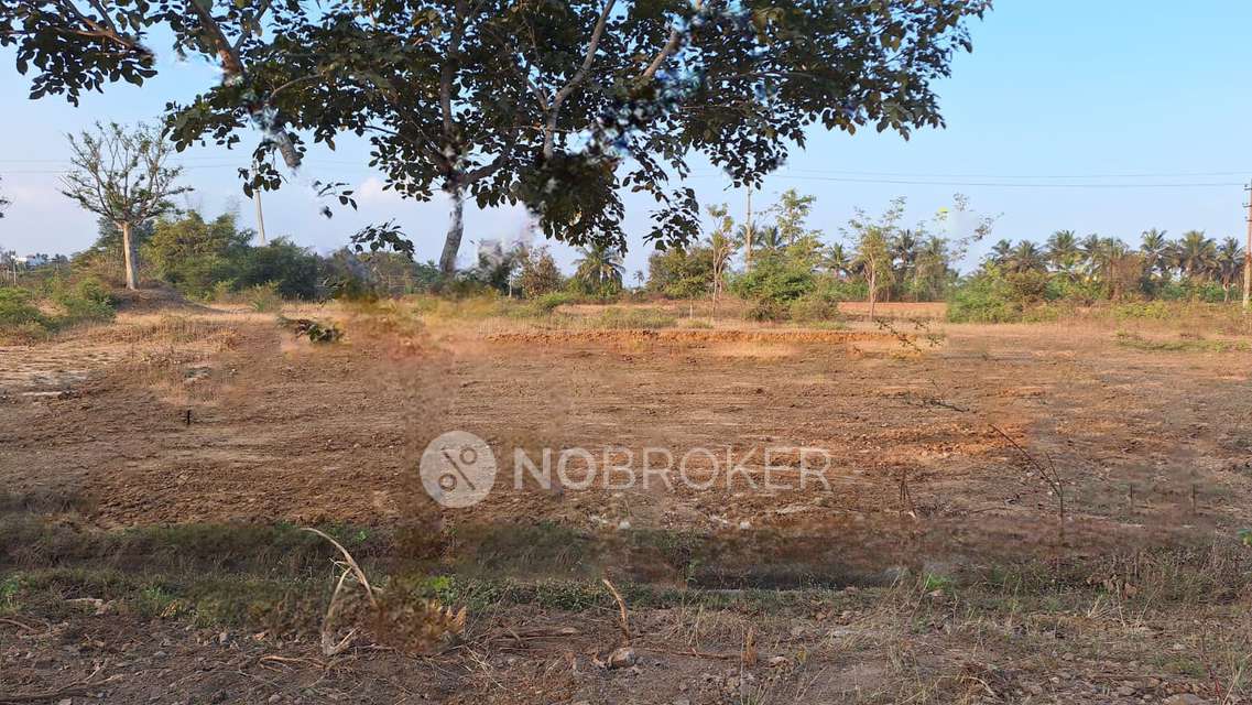 Plot For Sale  In Dodda Aalada Mara