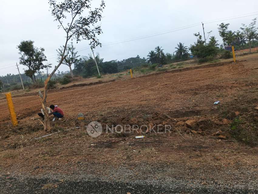 Plot For Sale  In Dodda Aalada Mara