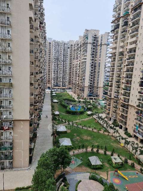2 BHK Flat In Saviour Greenarch for Rent  In Greenarch, E-602, Near Ek Moorti Chowk, Techzone 4, Amrapali Dream Valley, Greater Noida, Ithaira, Uttar Pradesh 201318, India