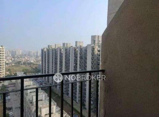 3 BHK Flat In Signature Global Solera  for Rent  In Sector 107