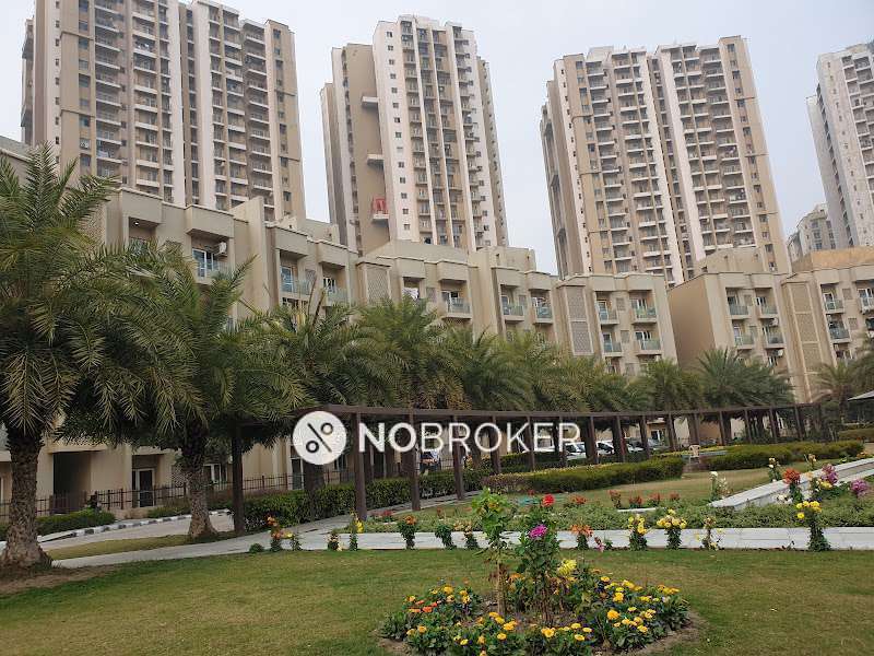 3 BHK Flat In Parastierea for Rent  In Noida Sector 137