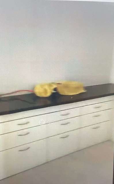 2 BHK Flat In Qubix Blueridge Sez  for Rent  In  Hinjewadi, Pune