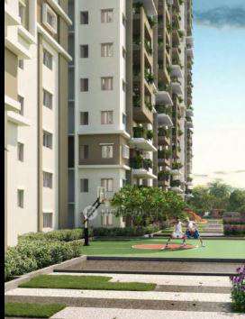 Shared Room for In 3 BHK In Asbl Aprtments In Gandipet