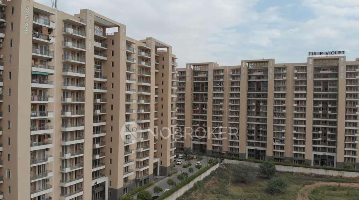 3 BHK Flat In Tulip Violet for Rent  In Sctor 69